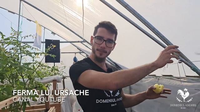 In vizita la FERMA LUI URSACHE смотреть онлайн