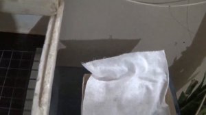 Инкубация перепелиных яиц без переворота