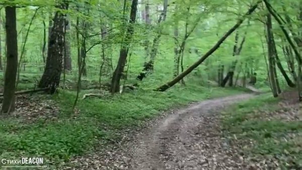 Deacon Sherola  «Чуточку выше» Читает Виталий Сулимов