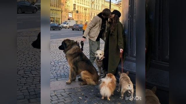 Огурец соленный-растение семейства закусочных смотреть онлайн