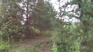 Заброшенная деревня РЕБРОВКА, Пензенская область