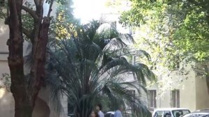 лазаревское улица победы