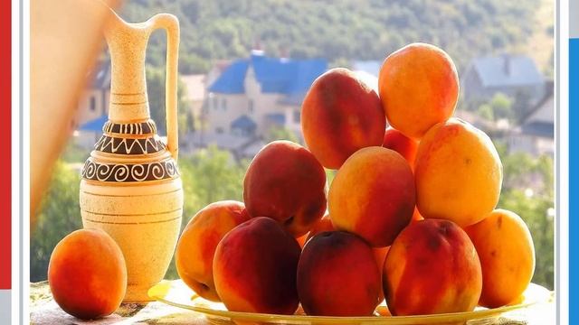 Видеопрезентация "Блюда армянской кухни" смотреть онлайн