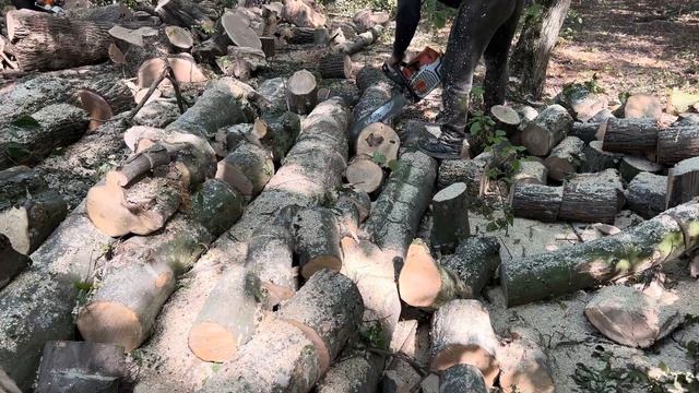 12 вересня 2023 р.?20-25 см.? смотреть онлайн