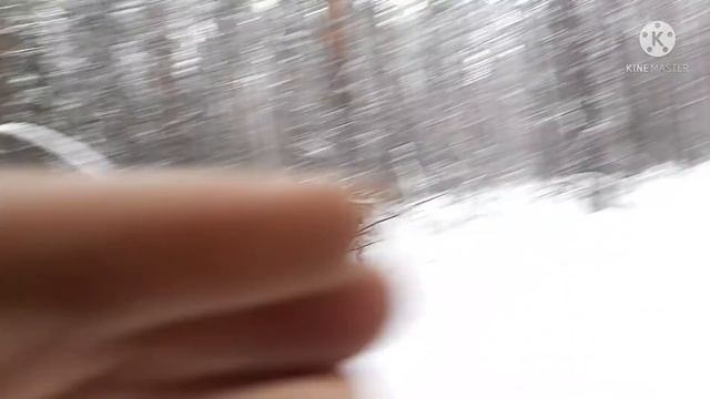 охота на волков 2 смотреть онлайн