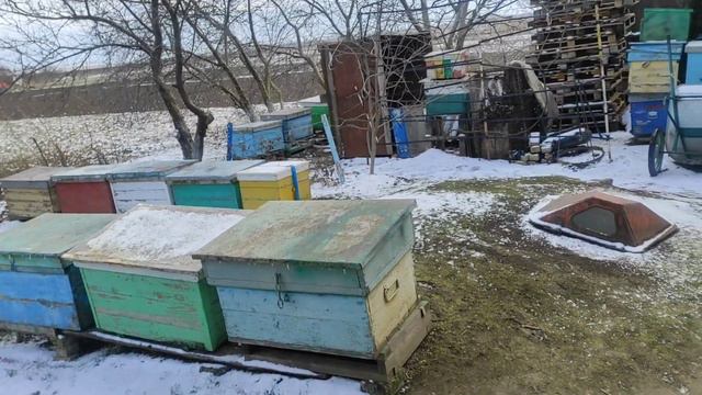 ВЕРНУЛИСЬ МОРОЗЫ. Как помочь пчёлам ? смотреть онлайн