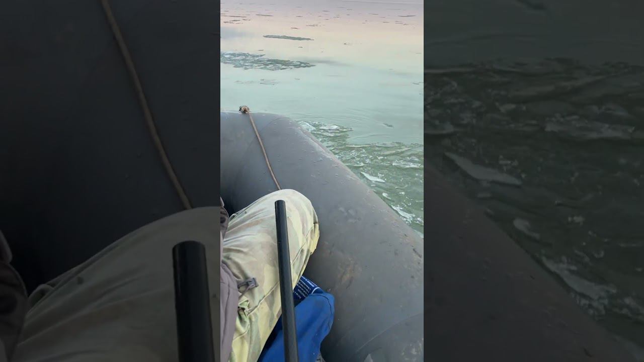 Зимняя рыбалка #кубань #рыбалка #fishing #зима #лёд #лодка #лодкадлярыбалки #гололед смотреть онлайн
