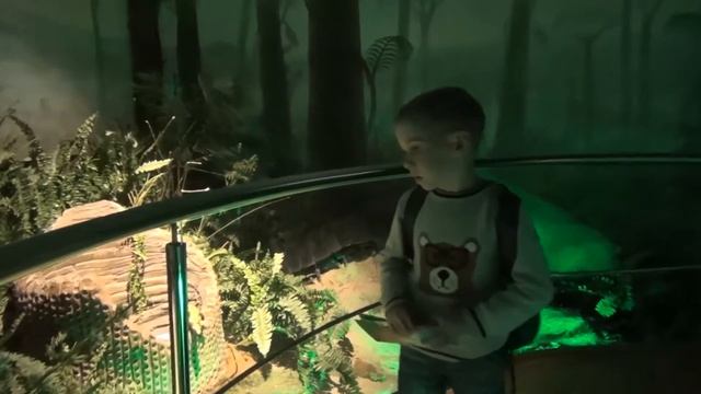 Дарвиновский музей в Москве смотреть онлайн