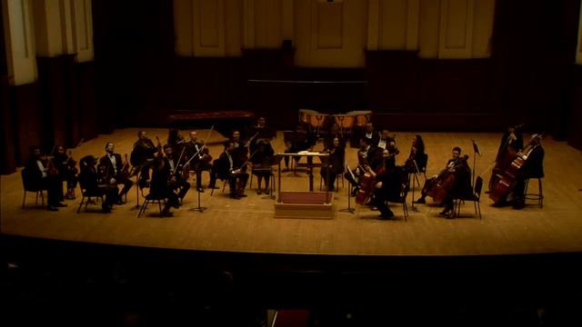 2023 Sphinx Honors Concert Competition смотреть онлайн