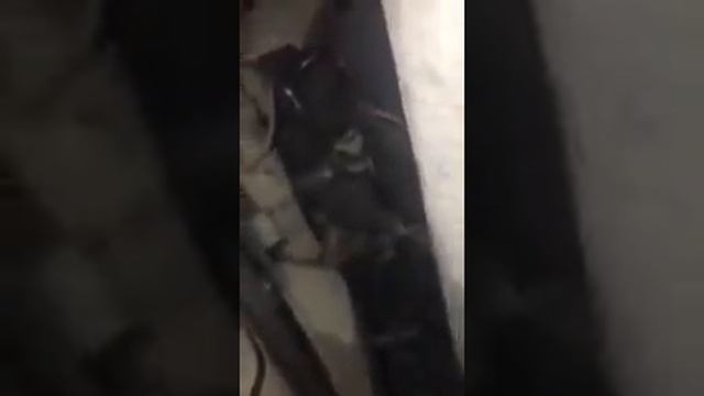 ваз 2111 что делать как решить проблему ?? смотреть онлайн