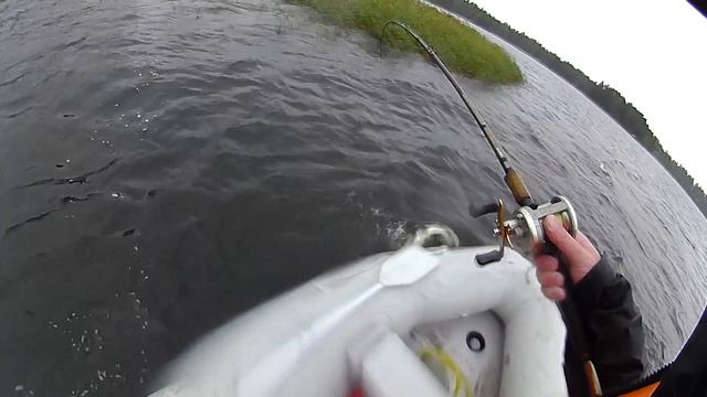 Налим-твистер. Ловля щуки на свимбейт Savage Gear 3D Burbot смотреть онлайн