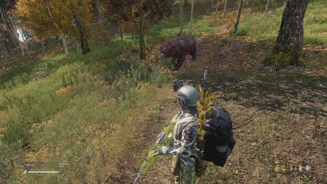 Dont shoot bear dayz смотреть онлайн