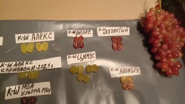 Обзор кишмишных сортов винограда, ягоды в разрезе 28 августа 2021.Виноградник Щереденкова В. А. смотреть онлайн