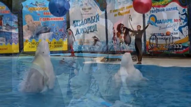 Христианский лагерь для детей инвалидов Крыма' 2013 г.Ялта п.Гаспра 480 смотреть онлайн