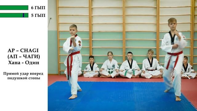 6 и 5 ГЫП | Аттестация по таэквондо (Зеленый пояс и Зелено-синий пояс) смотреть онлайн