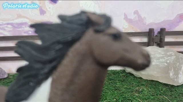Обзор Исландского пони жеребца Schleich смотреть онлайн