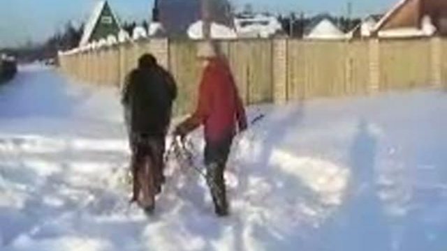 лошадь