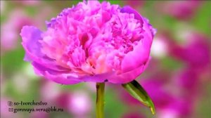 ☀ Великая волшебная мантра сострадания ГуаньИнь  ☀.mp4