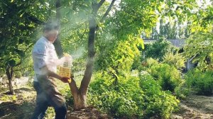 BOZOR PERASHKA TAYYORLASH/ ПИРОЖКИ КАК ПУХ