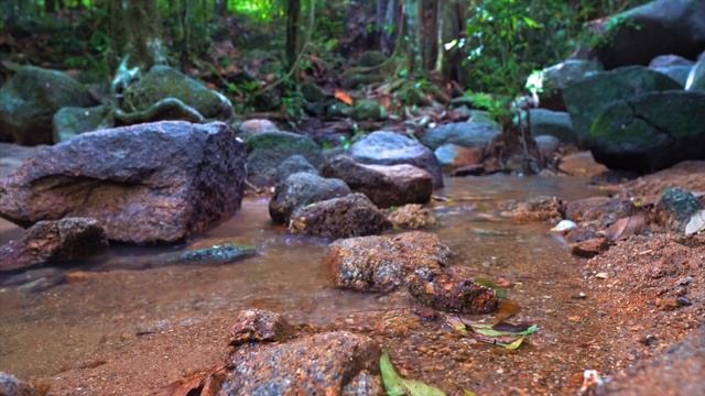 Звуки природы, пение птиц | Звуки Леса, для релаксации, сна | Медитаци | Relax 3 часа смотреть онлайн