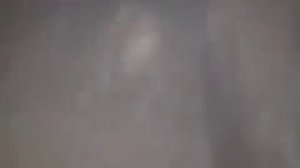 Лев разорвал человека на куски!Нападения животных на людей