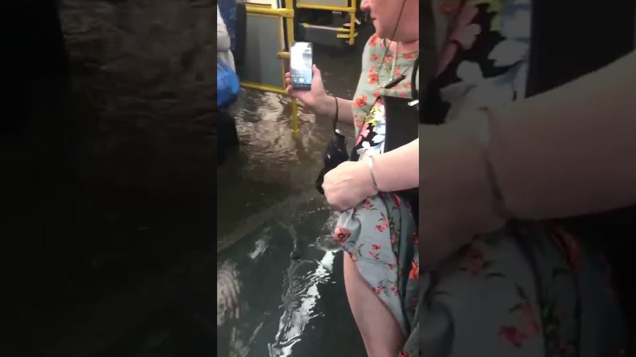 Вода настигла пассажиров автобуса №33 «Одинцово-Лесной Городок» прямо в салоне смотреть онлайн