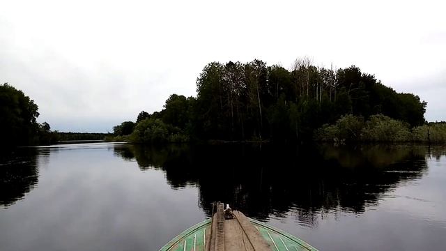 Погоня за уткой? смотреть онлайн