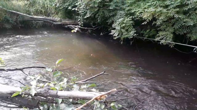 рыбалка на речке на гольяна,чубака,пескаря смотреть онлайн