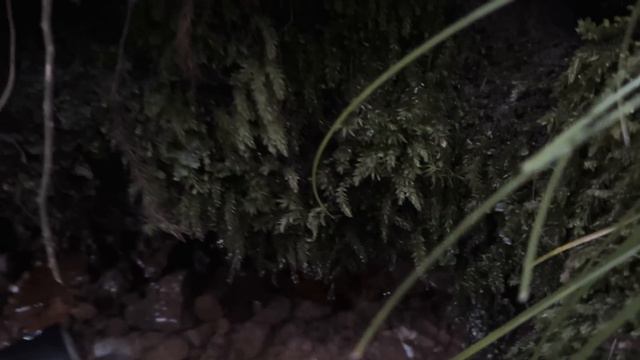 Frankreich | Übernachtung in einer Felsenburg (800 Jahre) смотреть онлайн