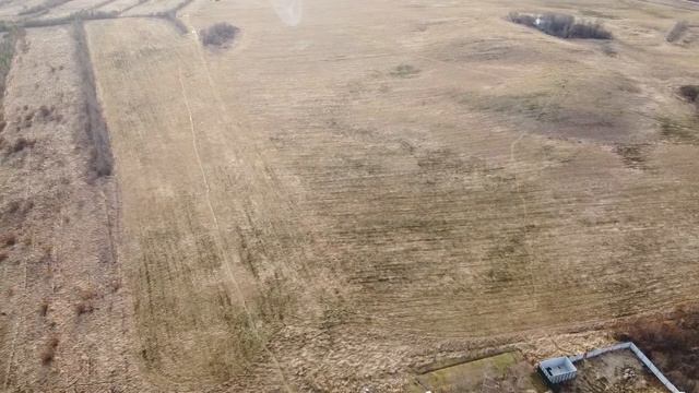 Дача январь 2020 смотреть онлайн