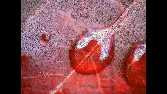 Гаятри Мантра.wmv смотреть онлайн