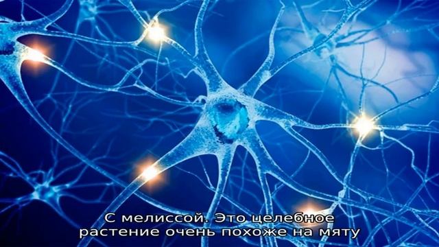 Какой чай полезен для сна смотреть онлайн