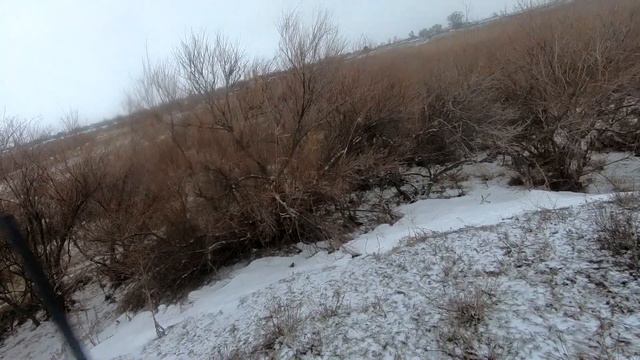 Охота на пушного зверя в Ростовской области смотреть онлайн