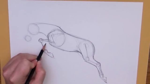 How to draw a horse jumping смотреть онлайн