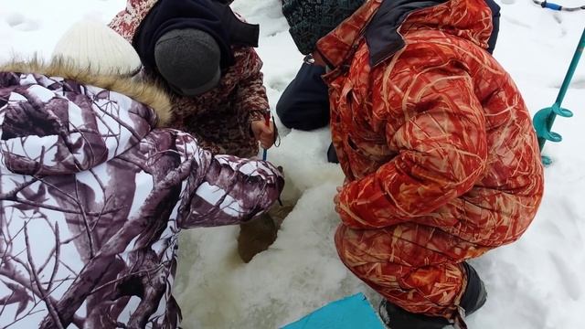 Крупный Лещ зимой на мормышку. смотреть онлайн