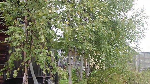 Копка картошки на даче смотреть онлайн