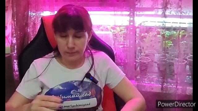 С каких садовых растений можно собирать семена? смотреть онлайн