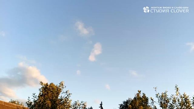 Дачная жизнь ● Дачный сезон с весны по осень ● Монтаж видео и слайд-шоу смотреть онлайн