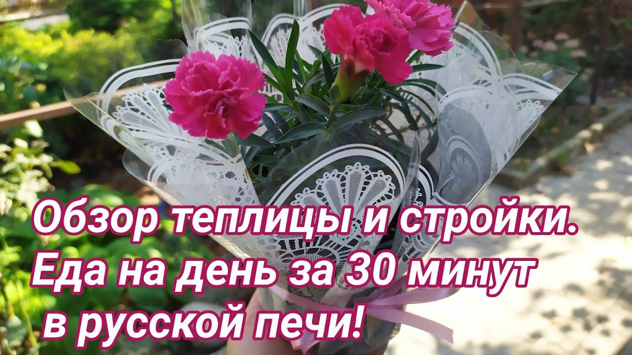 Обзор теплицы и стройки. Еда на весь день за 30 минут в русской печи. смотреть онлайн