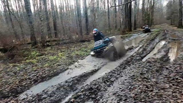 Кленовские просеки смотреть онлайн