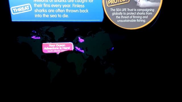 Аквариум и Музей Тюссо в Орландо смотреть онлайн