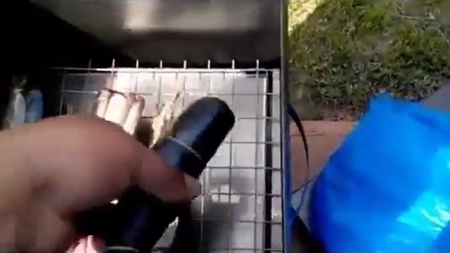 Скумбрия горячего копчения или электро коптильня ТерМикс За 1950 руб смотреть онлайн