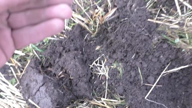 Моя прелесть. смотреть онлайн