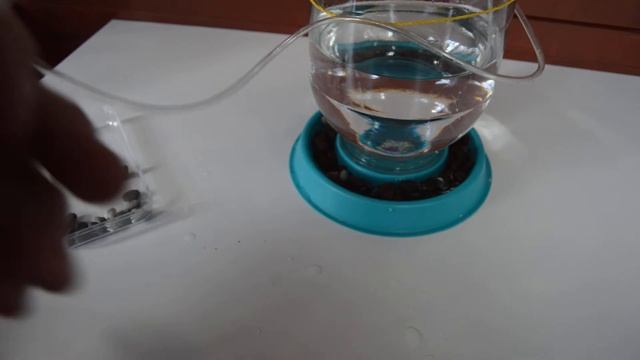 Доработанная поилка для перепелов (Бункерного типа) смотреть онлайн