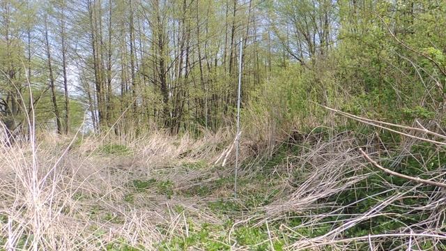 Ловля соловья 29042014 смотреть онлайн