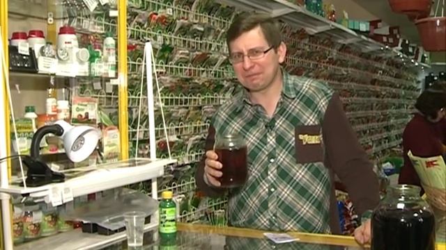 Миф о пользе марганцовки для рассады смотреть онлайн