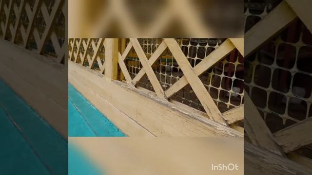 Гуляю по Усадьбе Кусково, подхожу к вольеру для птиц, читаю стихотворение Берестова о павлине смотреть онлайн