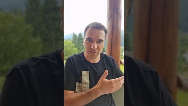 Возможность выбора для неуверенной собаки смотреть онлайн