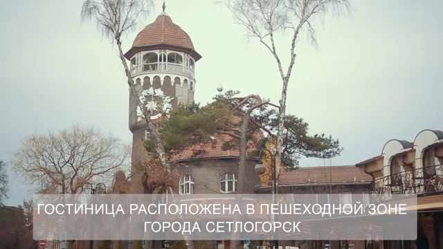 Гостиница в Светлогорске смотреть онлайн