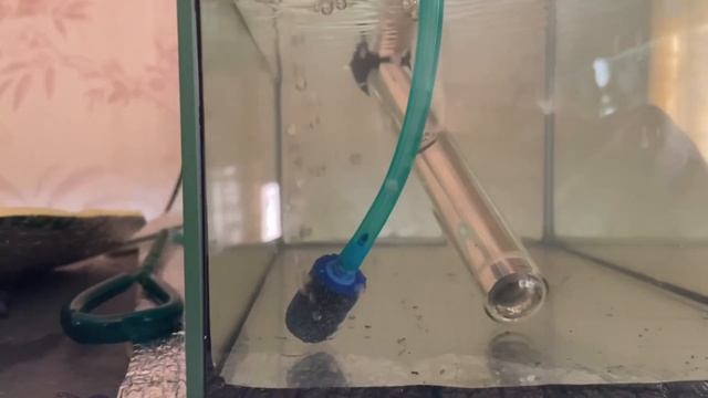 работа на мини разводни #Аквариумистика #рыбки #Аквариумные_растения #запускакариума смотреть онлайн